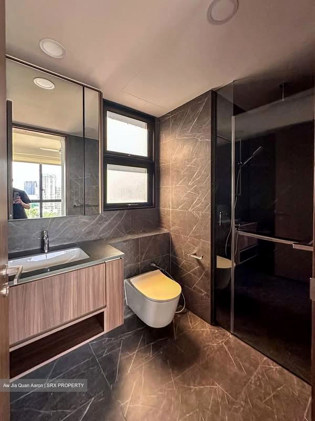 Kopar At Newton (D9), Apartment #584424941